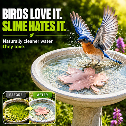 🔥 HOT SALE 50% OFF 🍁 Universal Bird Bath Cleaner