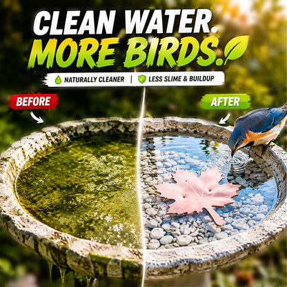 🔥 HOT SALE 50% OFF 🍁 Universal Bird Bath Cleaner