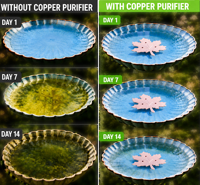 🔥 HOT SALE 50% OFF 🍁 Universal Bird Bath Cleaner