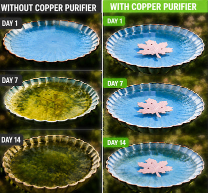 🔥 HOT SALE 50% OFF 🍁 Universal Bird Bath Cleaner