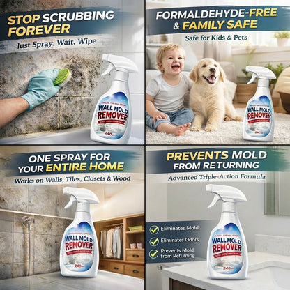 Vodlan™ Fast Acting Anti-Mold Wall Cleaner Spray🔥