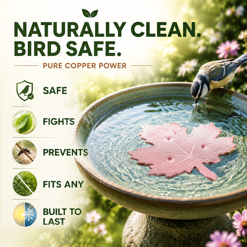 🔥 HOT SALE 50% OFF 🍁 Universal Bird Bath Cleaner