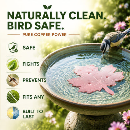 🔥 HOT SALE 50% OFF 🍁 Universal Bird Bath Cleaner