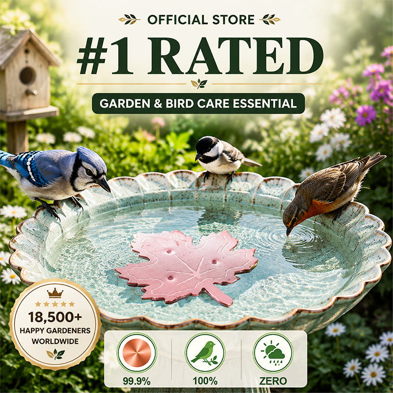🔥 HOT SALE 50% OFF 🍁 Universal Bird Bath Cleaner
