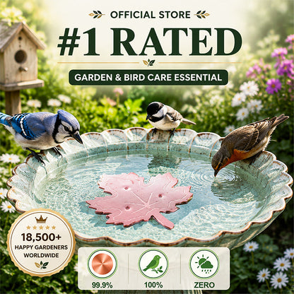 🔥 HOT SALE 50% OFF 🍁 Universal Bird Bath Cleaner