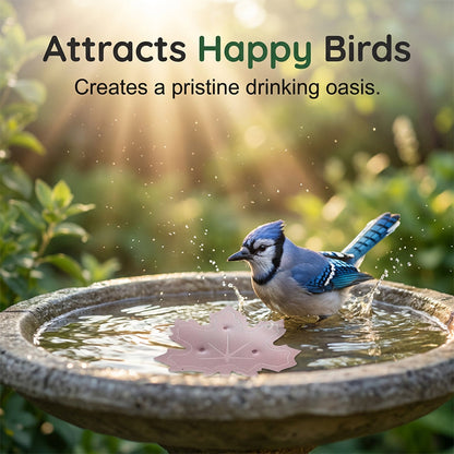 🔥 HOT SALE 50% OFF 🍁 Universal Bird Bath Cleaner